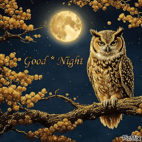 Good Night Owl and the Moon Goodnight Gif Sweet Dreams Good Night, Good Night Images New Good Night Images, Good Night Gifs Animation, Good Night Gifs Funny, Good Night Gifs, Goodnight Images, New Good Night Images, Good Night Beautiful, Goodnight Quotes