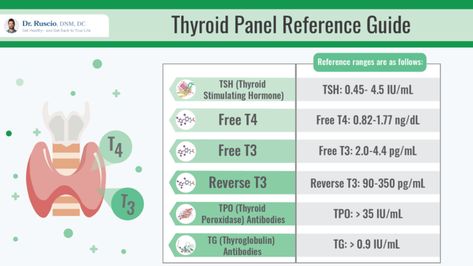 Optimal Thyroid Levels, Low Thyroid Remedies, Thyroid Remedies, Thyroid Levels, Gut Inflammation, Systemic Inflammation, Thyroid Test, Low Thyroid, Thyroid Symptoms