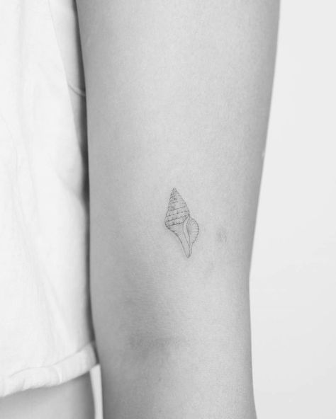 Single needle tulip shell tattoo located on the upper Sea Shell Tattoos For Women, Small Shell Tattoo, Tattoo Seashell, Tattoo Shell, Sea Tattoos, Small Turtle Tattoo, Seashell Tattoo, Beachy Tattoos, Soft Tattoo