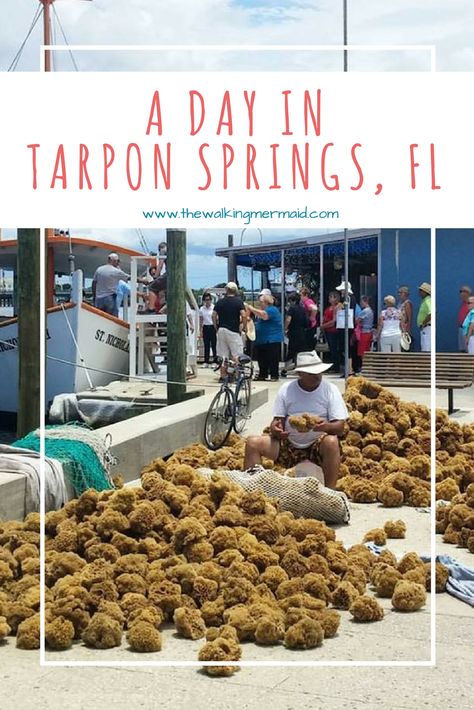 Tarpon Springs is always such a fun place to visit in Florida. Love this sponge filled historical dock. Tarpon Springs Sponge Docks, Tarpon Springs Florida, Greek Foods, Travel Florida, Florida Travel Guide, Florida Destinations, Florida Springs, Springs Florida, Greek Restaurants