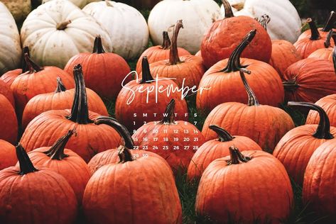 Photo in Fall Wallpapers - Google Photos Fall Backrounds, Fall Desktop Backgrounds, Wallpaper September, Macbook Backgrounds, Gracie Wallpaper, Desktop Wallpaper Fall, Spring Desktop Wallpaper, Desktop Wallpaper Quotes, September Wallpaper