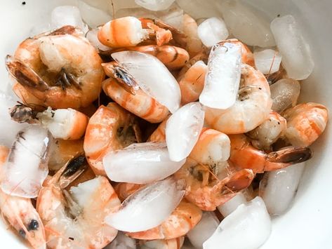 Boiled Shrimp Old Bay, How To Boil Shrimp, Peel And Eat Shrimp, Shrimp Platter, Boil Shrimp, Boiled Shrimp, Shrimp Cocktail Sauce, Rock Shrimp, Shrimp Boil Recipe