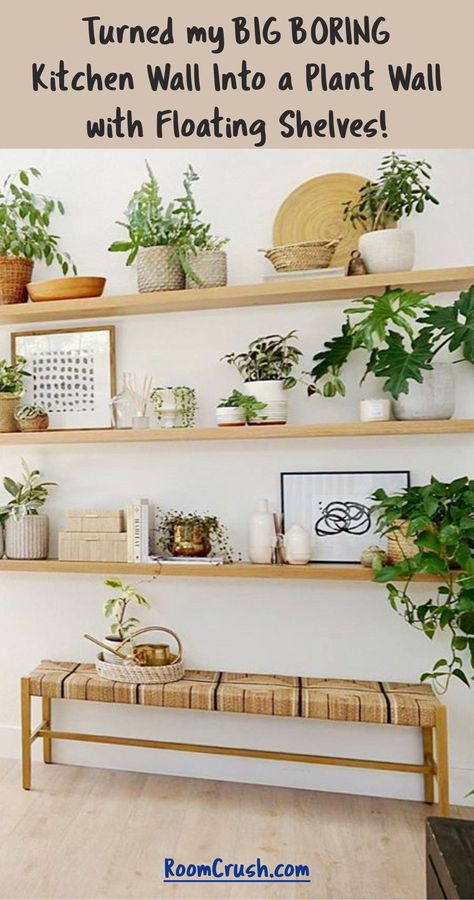 Kitchen With Shelves, Aesthetic Home Kitchen, Big Blank Wall, Photo Shelf, Kitchen Plants, Home Decor Aesthetic, Pampas Grass Decor, Aesthetic Home Decor, Big Kitchen