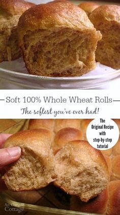 These soft whole wheat rolls are made with 100 whole wheat (and no added gluten!), but are still soft, delicious dinner rolls. THIS is the dinner roll you've been waiting for - everyone will rave about these - I promise! Whole Wheat Dinner Rolls, Wheat Dinner Rolls, Wheat Rolls, Whole Wheat Rolls, Rolls Easy, Wheat Recipes, Biscuit Rolls, Yeast Rolls, Types Of Bread