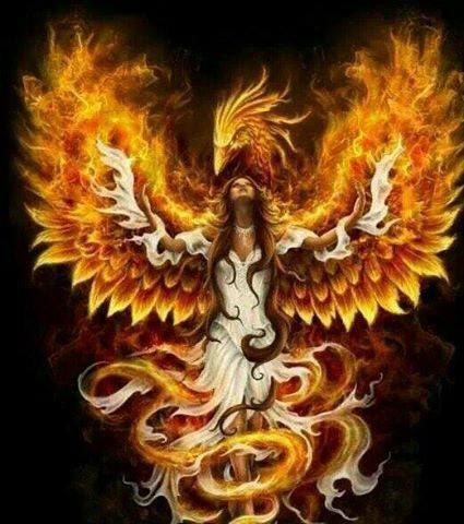 Scorpio Woman Phoenix Images, Angel Tattoo Designs, Phoenix Art, Charcoal Drawings, Phoenix Rising, Phoenix Bird, Fire Bird, Phoenix Tattoo, Fire Art