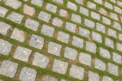 DIY for Adding Moss Between Pavers Moss Between Pavers, Landscaping Pavers, Garden Pavers, Landscape Pavers, Growing Moss, Pavers Backyard, Paver Walkway, Paver Driveway, Garden Paving