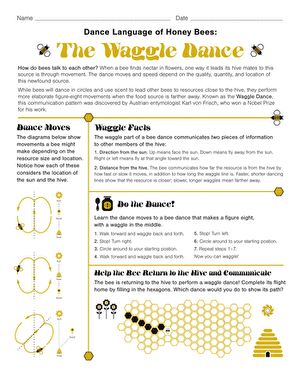 Bee Dance, Bee Dance Activity, Bee Waggle Dance, Waggle Dance Bees, Waggle Dance Bee Game, Bumblebee Songs Preschool, Bee Bee Bumble Bee Song, Honey Bee Unit Study, Bee Games