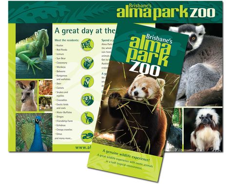 Zoo Flyer Design, Animal Brochure, Zoo Brochure, Zoo Advertisement, Nature Bingo, Conservation Poster, Museum Brochure, Posters Layout, Zoo Inspiration