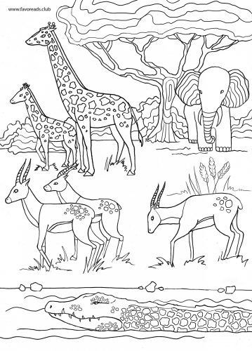 Baloo Jungle Book, Jungle Coloring Pages, Animal Pictures For Kids, Vector Line Art, Africa Animals, Vector Line, Illustration Photo, Printable Adult Coloring Pages, Animal Coloring