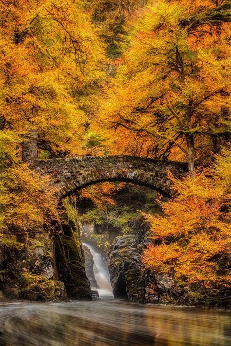 Autumn at the Hermitage, Dunkeld, Scotland Fall In Scotland, Nature Clips, Autumn Poetry, Gods Masterpiece, Scotland Aesthetic, Countryside Aesthetic, Magical Autumn, Harvest Blessings, Autumn Magic