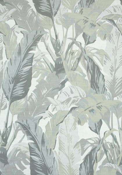 Anna French Wallpaper, Travelers Palm, Fabric Texture Pattern, Thibaut Fabric, Travellers Palm, French Wallpaper, Anna French, Wallpaper For Wall, Matching Wallpaper