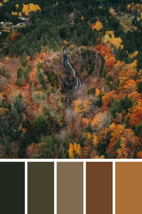 This image features an aerial view of a dense forest transitioning into autumn. The earthy tones of green, orange, yellow, and brown dominate the scene, creating a rich and warm palette. The colors blend harmoniously, showcasing the beauty of nature’s seasonal change. Autumn Forest Color Palette, Nature Pallet, Forest Color Palette, Color Scheme Generator, Earth Colour Palette, Tone Color Palette, Earth Tone Color Palette, Color Generator, Fall Color Schemes