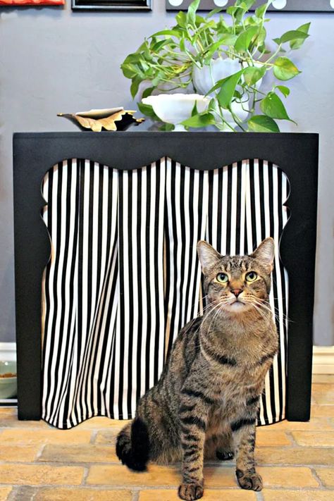 Diy Kitty Litter, Litter Box Ideas, Diy Litter Box, Hidden Litter Boxes, Dimples And Tangles, Litter Robot, Chest Ideas, Litter Box Covers, Kitty Litter