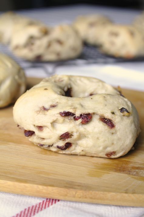 Cranberry Walnut Bagels Cranberry Walnut Bagel Recipe, Cranberry Orange Bagels, Cranberry Bagels Recipe, Gingerbread Bagels, Cranberry Bagels, Bagel Dough Recipe, Cinnamon Bagels, Bagel Recipes, Bagel Recipe Easy