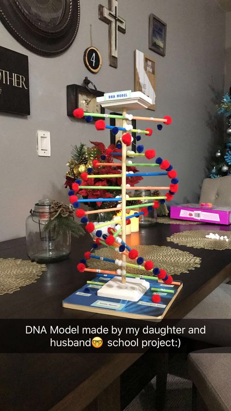 Homemade Dna Model, Dna Strand Project, Dna Replication Model Project Biology, 3d Dna Structure Project, Dna Replication Project, Dna Replication Model Project, Dna Project Models, Dna Model Project High Schools, Diy Dna Model