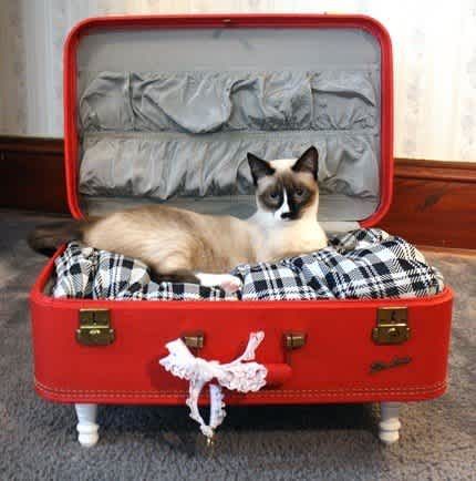 Diy Cat Bed, Chat Diy, Diy Suitcase, Dog House Bed, Diy Dog Bed, Old Suitcases, Diy Bebe, Vintage Suitcases, Vintage Suitcase