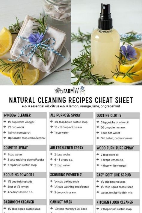 All Natural Cleaning Products, Homemade Cleaning Supplies, Natural Cleaning Recipes, Newborn Schedule, Easy Reference, Homemade Cleaning Solutions, Homemade Cleaning, Homemade Cleaning Products, Natural Cleaning