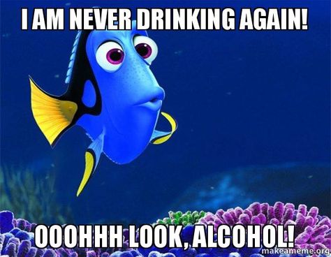 I AM NEVER DRINKING AGAIN! OOOHHH LOOK, ALCOHOL! - Dory from Nemo (5 second memory) | Make a Meme Thanksgiving Meme, Yarn Humor, Crochet Quote, Knitting Quotes, Knitting Humor, Neville Longbottom, Crochet Humor, Finding Nemo, Yearbook