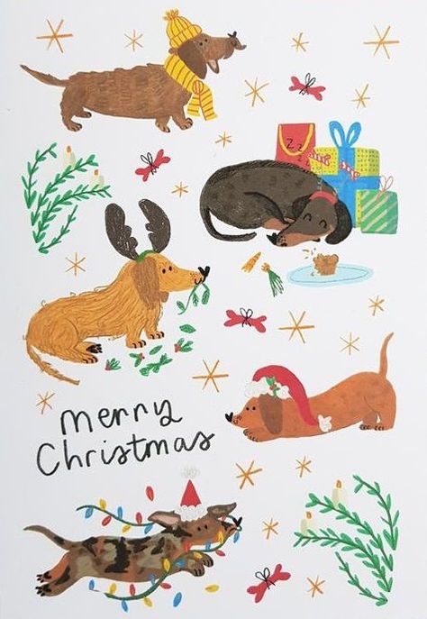 Dogs Christmas Card, Christmas Sausage Dog, Christmas Sausage, Christmas Card Illustration, Dog Christmas Card, Dog Greeting Cards, 강아지 그림, Dachshund Christmas, Birthday Cards For Her