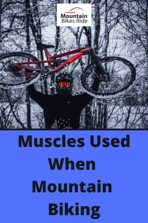 Learn what muscles are used when mountain biking. Mountain biking can give you a full body workout that you enjoy. #mountainbikemuscles #mountainbikeworkout #musclesusedbiking #bikemuscles Mountain Bike Workout, Biking Muscles Used, Cycling Exercises, Mountain Biking Outfit, Mountain Bike Training, Biking Tips, Mountain Biking Quotes, Mt Bike, Mountain Biking Women