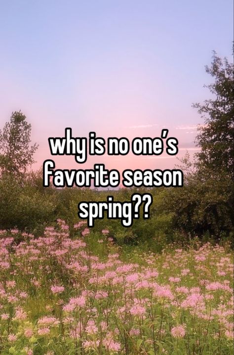 #spring #season #flowers #whispers #whisper #random #aesthetic #rain #coquette Spring Aesthetic Rain, Spring Coquette Aesthetic, Spring Rain Aesthetic, Spring Whisper, Spring Season Flowers, Spring Smells, April Aesthetic, Spring Coquette, Aesthetic Rain