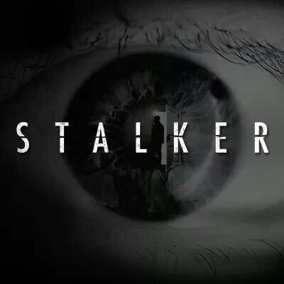 Stalker • CBS this Fall 2014 Seeing You Quotes, New Television, What Women Want, Watch Tv Shows, Watch Tv, New Shows, Television Show, Favorite Tv Shows, Actors & Actresses