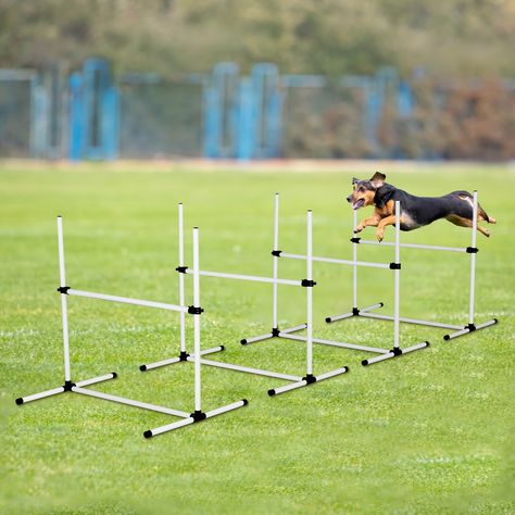 Faster shipping. Better service Dog Agility Course, Dog Jumping, Agility Training For Dogs, Pet Doors, Training Kit, Agility Training, Outdoor Training, Dog Safety, Dog Agility