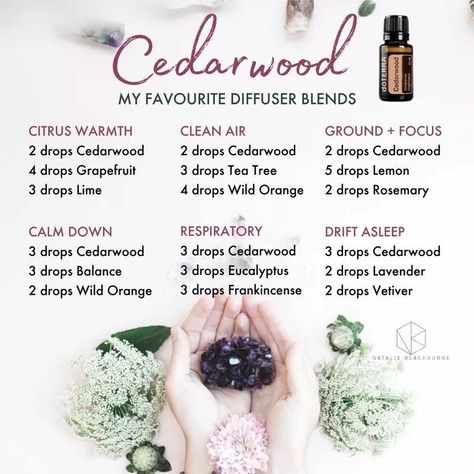 Doterra Diffuser Blends, Doterra Essential Oils Recipes, Essential Oil Diffuser Blends Recipes, Oils For Sleep, Young Living Essential Oils Recipes, Essential Oil Diffuser Recipes, Oil Diffuser Recipes, Cedarwood Oil, Essential Oil Blends Recipes