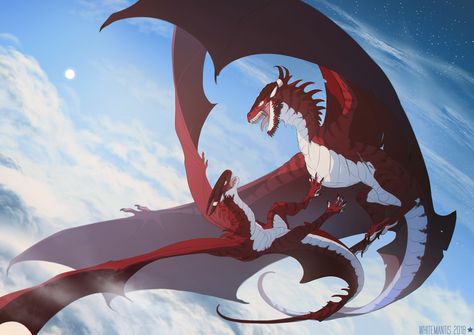 Timeless: Higher Than The Sun by WhiteMantisArt on DeviantArt Dragon Poses, Cool Dragons, Dragon Pictures, White Dragon, Fantasy Creatures Art, Dragon Artwork, Mythical Creatures Art, Dragon Drawing, Mythological Creatures