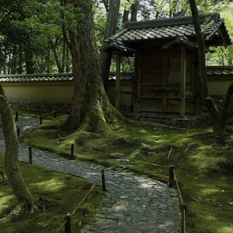 Japanese Castle Interior, Chinese Courtyard, Environment Photography, Japanese Bridge, Japanese Countryside, Japan Home, Japanese Castle, Japan Architecture, Old Abandoned Houses