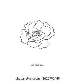 Gardenia Tattoo, Tatoo Inspiration, Doodle Art Flowers, Small Flower Tattoos, Cosmetic Logo, Flower Sleeve, Bee Tattoo, Cute Tattoos For Women, Top Tattoos