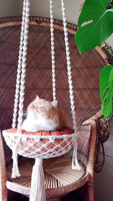 Macrame Cat Hammock, Exotic Shorthair Cat, Macrame Knots Tutorial, Cat Hammock, Exotic Shorthair, Knots Tutorial, Cat Parenting, Boho Aesthetic, Boho Macrame