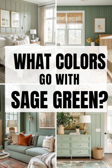 Are you struggling to find what colors go with sage green in the home? Whether you are looking to pair a color with your bedroom, cabinets, walls, living room or even exterior of the home, we've got you covered! Discover the best color combinations to pair with sage green in the home to make your design stand out and look flawless. Sage Green And Accent Colors, Sage Green Feature Wall Kitchen, Sage And Silver Living Room, Sage And Gold Home Decor, Green Kitchen With Living Room, What Colors Go With Green Walls, Wall Colors That Compliment Sage Green, Shades Of Green For Living Room, Bedroom Design Sage Green