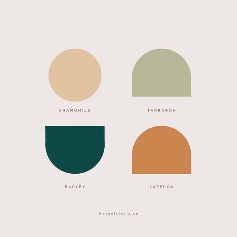 Colors and spices @avavictoria.co   #colors #colours #colorpalette #colorscheme #neutrals #soft #pastels #green #saffron #barley #chamomile #tarragon #avavictoria Chamomile Aesthetic, Elementary School Design, Aesthetic Palette, Floor Paint, Design Palette, Brand Color Palette, Color Inspo, Kitchen Tips, Color Stories