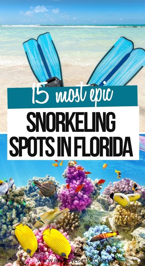 Florida Snorkeling, Florida Bucket List, Key West Florida Vacation, Things To Do In Florida, Florida Activities, Florida Vacation Spots, Florida Travel Destinations, Florida Family Vacation, Key Largo Florida