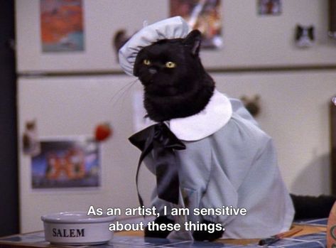 Salem Saberhagen, Cassandra Calin, Salem Cat, Hard Rock Hotel, 귀여운 동물, Movie Quotes, An Artist, Reaction Pictures, Mood Pics