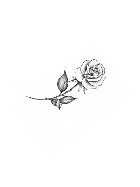 Rose Ankle Tattoo, Rose Foot Tattoo, Easy Rose Drawing, Rose Chest Tattoo, Rose Tattoo On Ankle, Amor Tattoo, Rose Drawing Simple, Flower Tattoo Stencils, Rose Tattoo Stencil