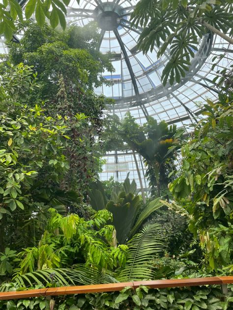 Cloud City Green House in Huntington Library Huntington Gardens Photoshoot, The Huntington Gardens, Huntington Beach Library, London Botanical Garden, Huntington Library And Botanical Gardens, Huntington Gardens, Huntington Library, Cloud City, Post Grad