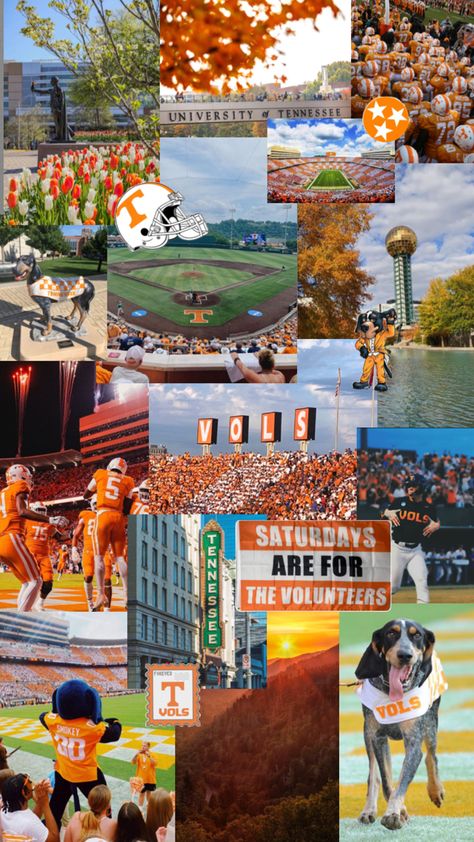 utk university of tennessee knoxville collage wallpaper campus college neyland stadium SEC smokey moodboard america south football baseball University Of Tennessee Aesthetic Wallpaper, Tennessee Backgrounds, Knoxville Tennessee Aesthetic, Tennessee Wallpaper, Univ Of Tennessee, Tn Vols Football, Tennessee University, Football Collage, Tennessee Baseball