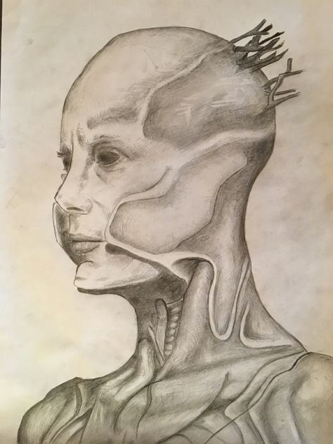 tool schism alien monster lateralus drawing Tool Schism Art, Alien Head Drawing, Head Drawing Ideas, Alien Monster, Head Drawing, Alien Head, Drawing Ideas, Pencil Drawings, Art Sketches