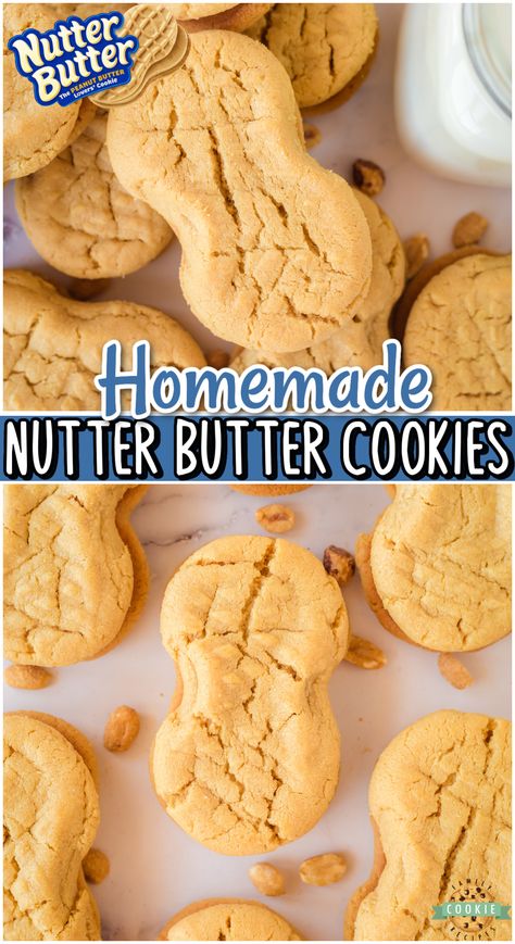 Homemade Nutter Butters are soft, chewy cookies that are so much better than the store-bought! Sweet & packed with great flavor, these copycat peanut butter cookies are a hit! Copycat Peanut Butter Cookies, Copycat Cookies, Soft Chewy Cookies, Nutter Butter Cookies, Chewy Cookies, Nutter Butter, Butter Cookies Recipe, Peanut Butter Lovers, Best Cookie Recipes