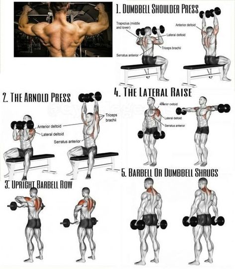 Trapezius Workout, Shoulder And Trap Workout, Workout For Strength, Shoulder Workouts For Men, Deltoid Workout, Shoulder Workout Routine, Traps Workout, Shoulder Workouts, Best Shoulder Workout