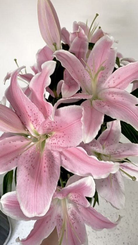 Pink Aesthetic Flowers, Lilies Bouquet, Cute Pink Aesthetic, Flowers Lily, Theme Nature, Boquette Flowers, Book Flowers, Aesthetic Flowers, Glitter Flowers