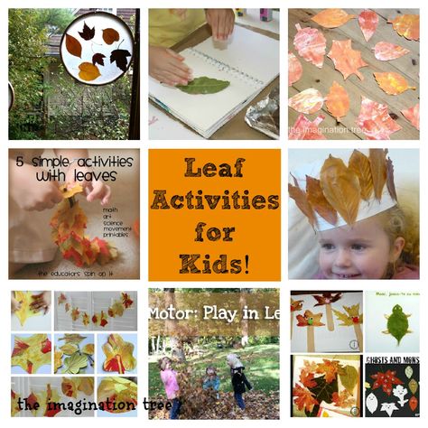 The Imagination Tree: Leaf Activities for Kids! [from It's Playtime] Leaf Activities For Kids, Fall Leaves Activities, Leaf Activities, Leaf Craft Activities, Autumn Leaves Craft, Imagination Tree, Preschool Science Activities, Fun Activities For Toddlers, Easy Fall Crafts