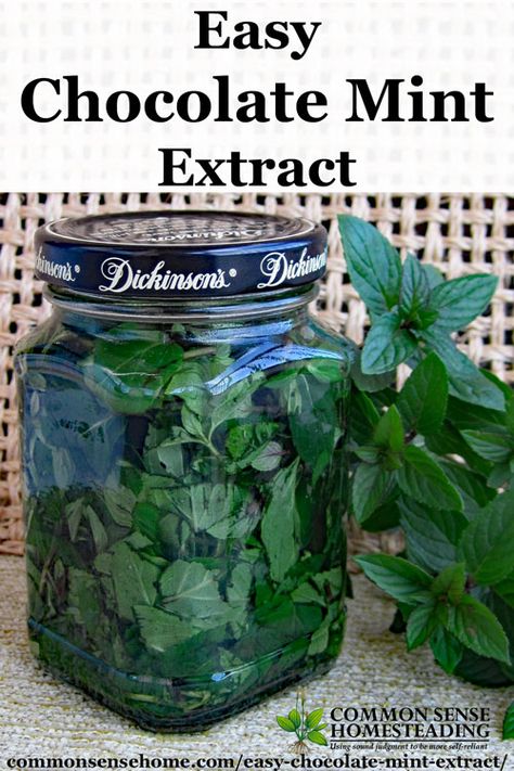 Mint Extract Recipe, Homemade Mint Extract, Mint Ideas, Homemade Extracts, Diy Extracts, Mint Plant, Hot Chocolate Gift, Homemade Baking, Mint Extract