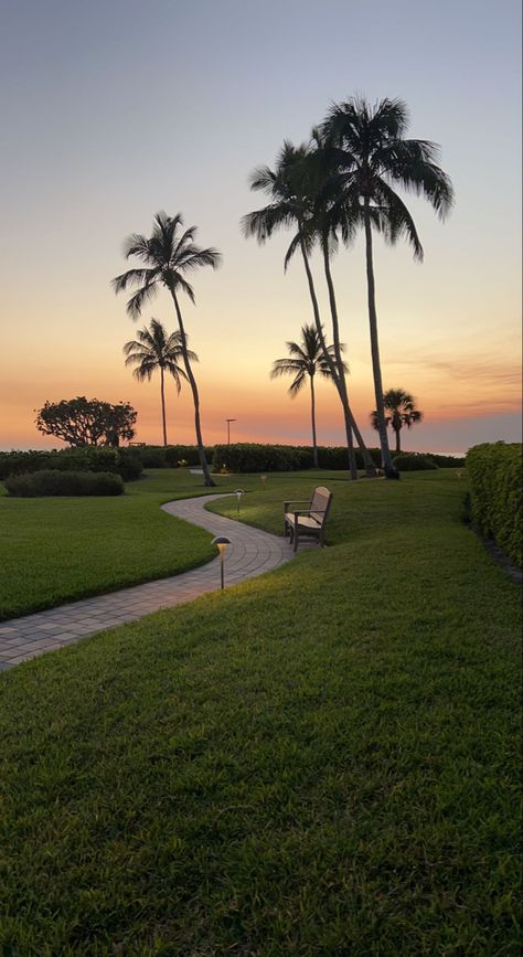 Açai Bowls, Beach Sunset Wallpaper, Malibu Beach, Pretty Landscapes, Sunset Wallpaper, Pretty Sky, Starbucks Drinks, Florida Travel, Summer Dream