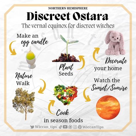 Vernal Equinox Activities, Spring Witchcraft, Ostara Ideas, Closet Witch, Wicca Holidays, Types Of Witchcraft, Pagan Holidays, Wiccan Sabbats, Egg Candle