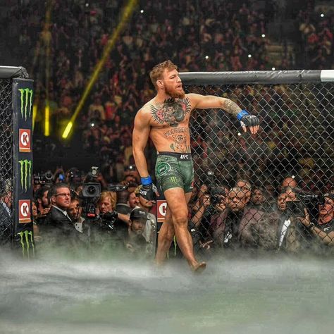 Coner Megrager, Conor Mcgregor Pfp, Connor Mcgregor Wallpaper, Conor Mcgregor Aesthetic, Corner Mcgregor, Mma Wallpaper, Conor Macgregor, Ufc Wallpaper, Conor Mcgregor Wallpaper