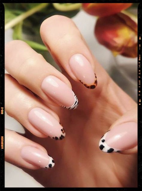 Safari Nails, Classic Nail Art, French Tip Nail Art, Animal Print Nails Art, Nail Tip Designs, Hard Nails, French Nail Art, Simple Gel Nails, Blush Nails