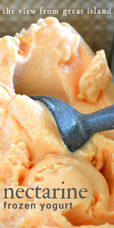 Nectarine Ice Cream Recipe, Frozen Nectarine Recipes, Nectarines Recipes, Nectarine Recipes Healthy, Ninja Creamini, Nectarine Ice Cream, Nectarine Dessert, Yogurt Ice Cream Recipe, Homemade Frozen Yogurt Recipes